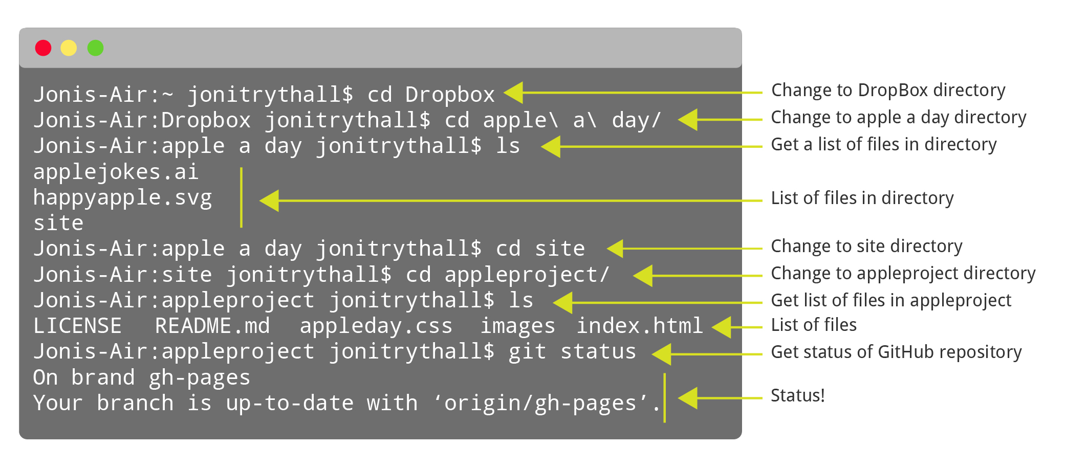 Preview of command line process to find Git repository and check status