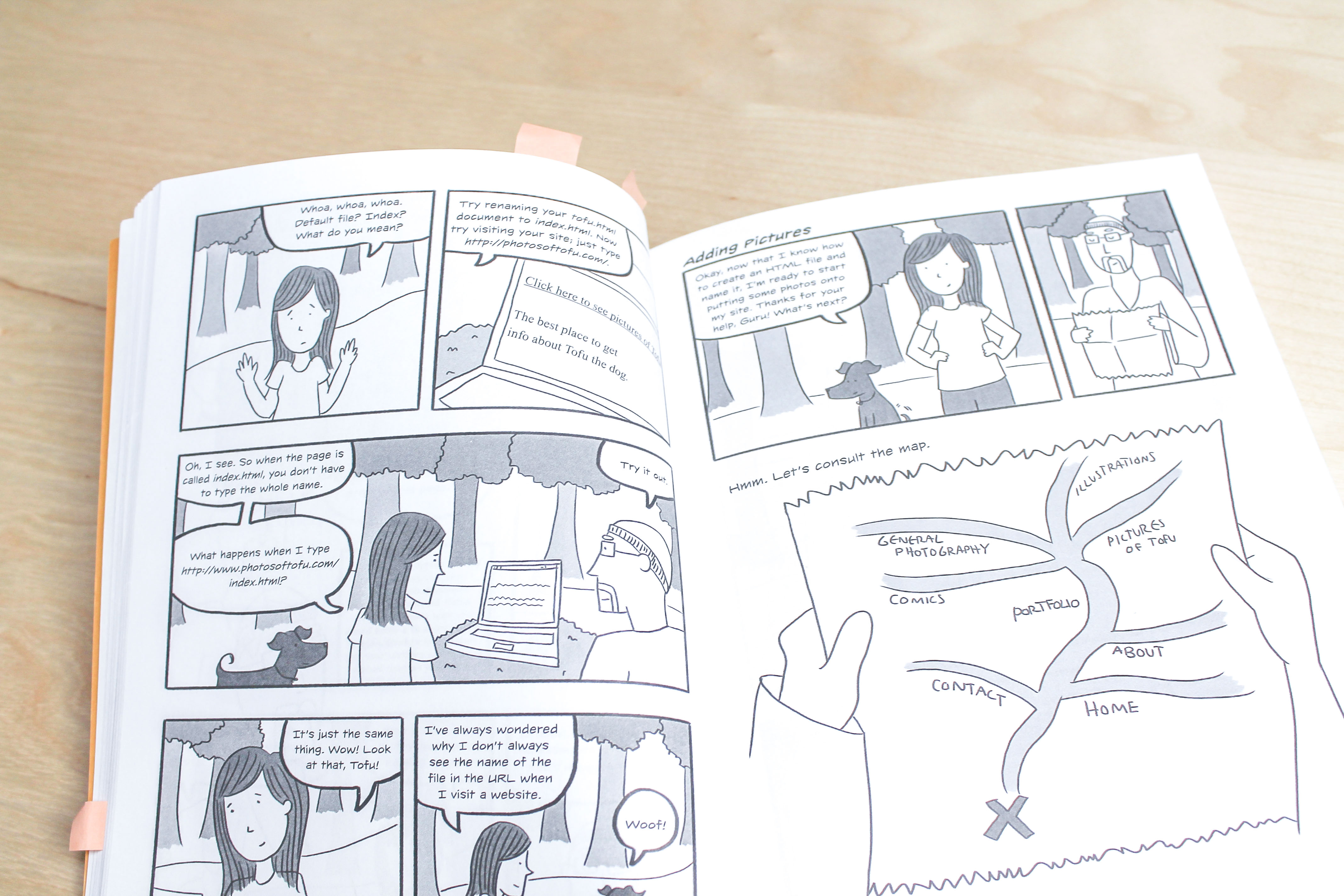 Interior picture of Build Your Own Website book